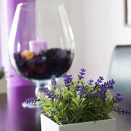 Apartmán Alojamentos Campo & Mar-t2 Com Piscina *