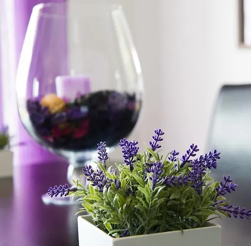 Apartamento Alojamentos Campo & Mar-t2 Com Piscina *